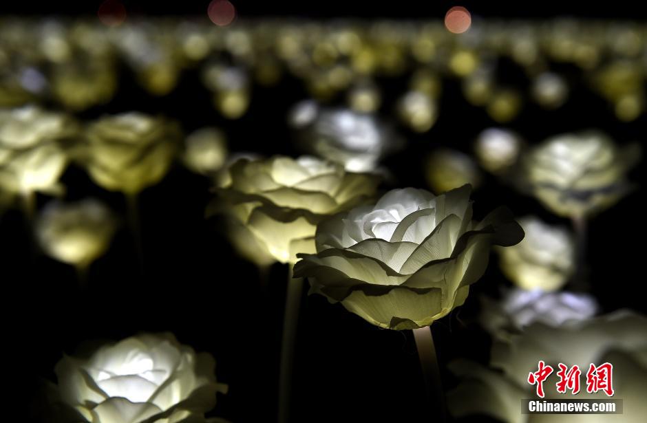中國新聞社on Twitter 情人浪漫夜万朵玫瑰灯闪亮香港 Led Rose Garden Seen On Night Before Valentinesday In Hongkong T Co Wq8brg7hta