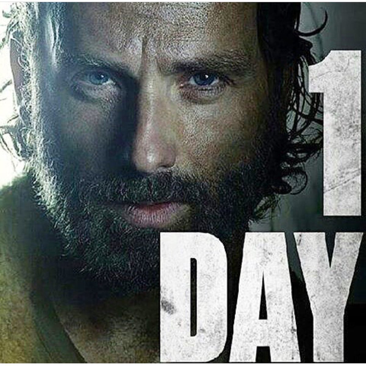 AMCTWD_FANPAGE's tweet photo. https://t.co/4BVhEhHocO