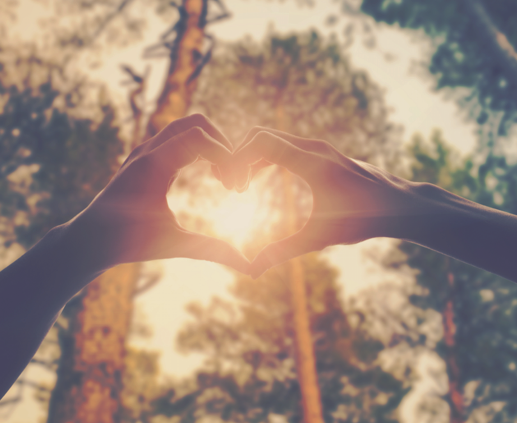 zenithwater_'s tweet image. Happy Valentine's Day to you and your loved ones #ZipEffect #Valentinesday #vday #love #happy