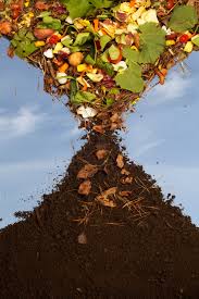 PauloFSuarez's tweet photo. Un Relleno Sanitario tiene vida limitada, una planta de #COMPOST2016 puede continuar indefinidamente @ScowBiowaste https://t.co/7Xb3UYAnPQ