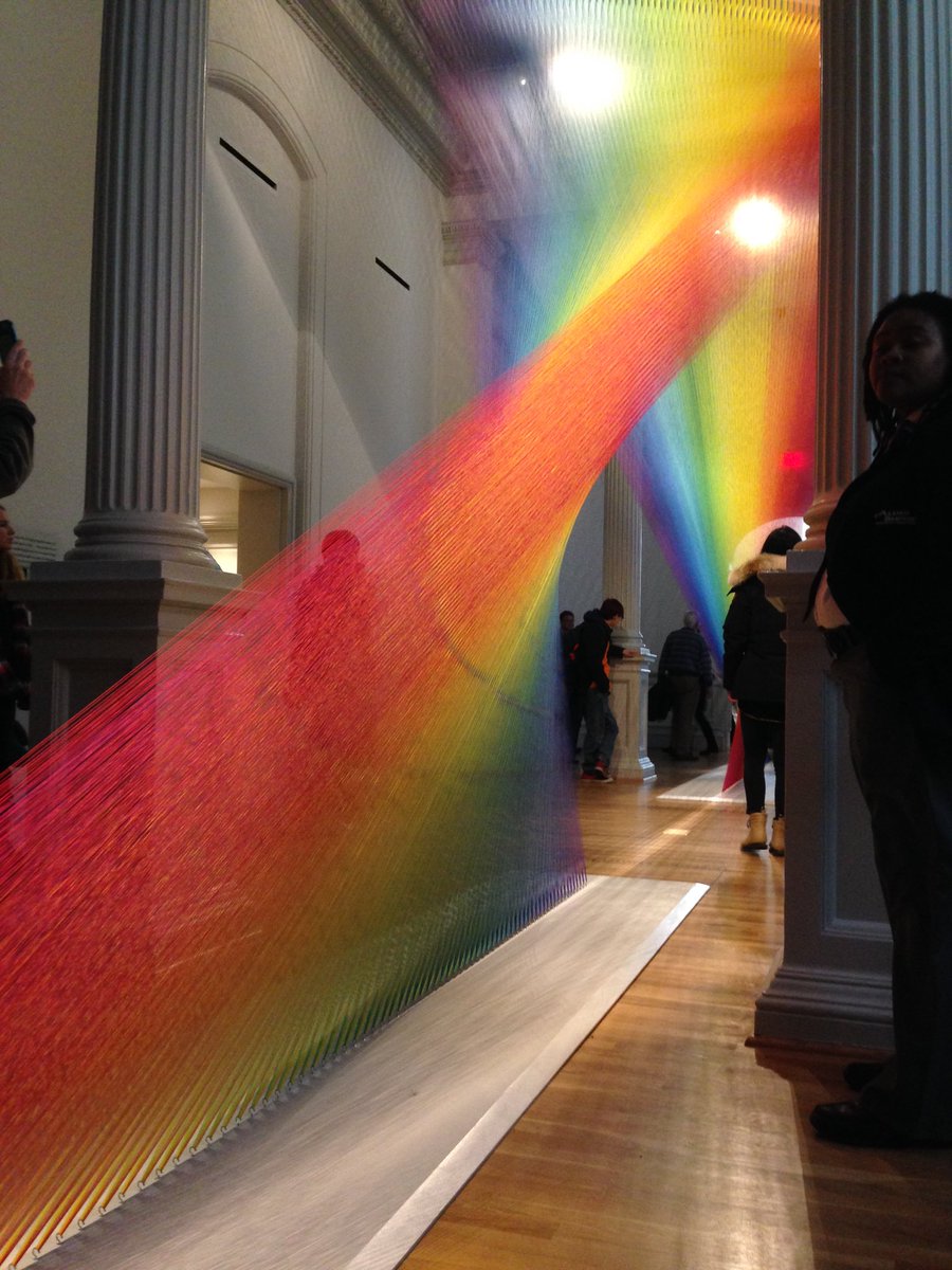 AnnandaleTerrace AAP tweet media