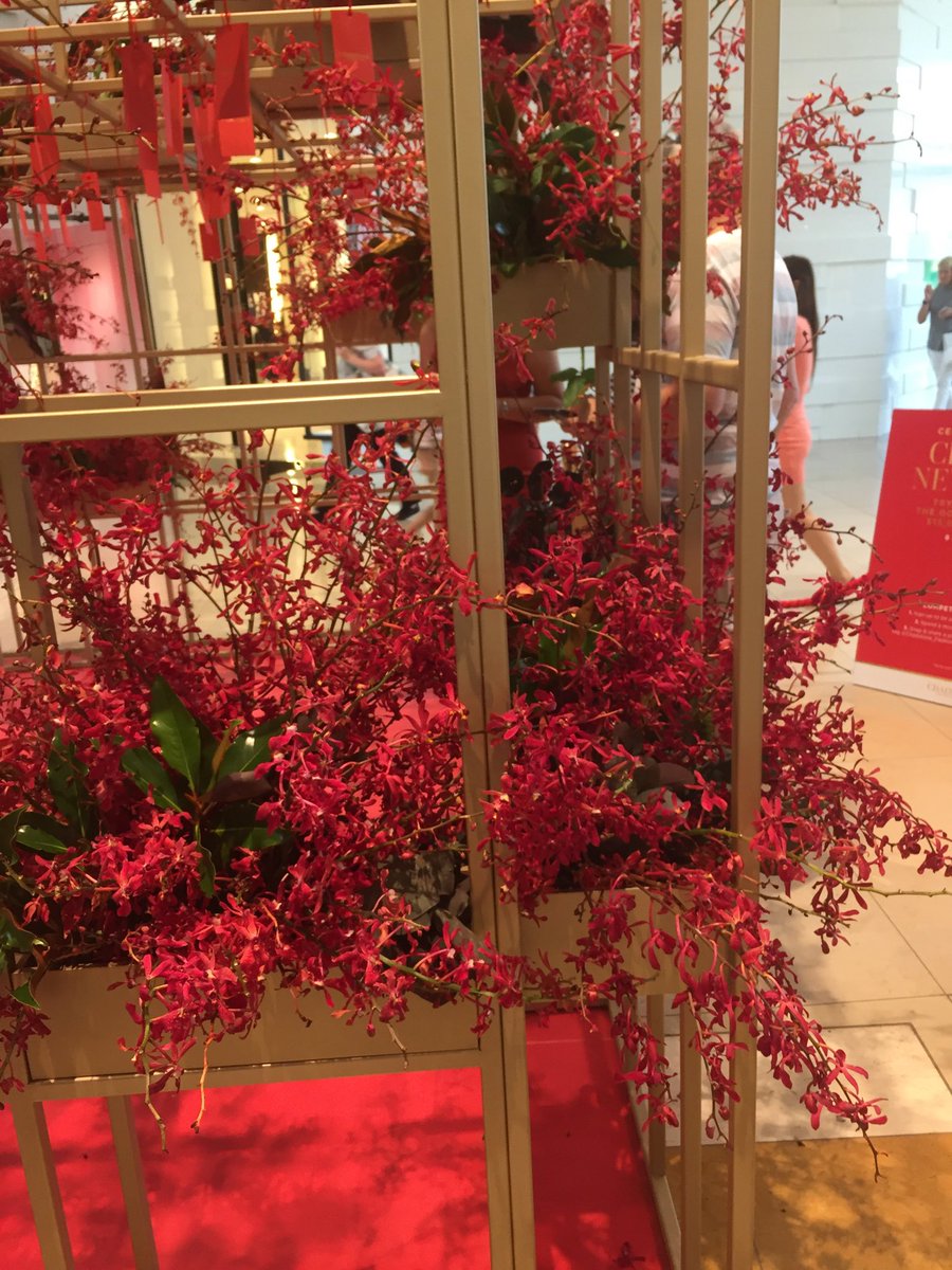 vickstarZ's tweet photo. Happy Chinese New Year @Chadstone_Fashion https://t.co/TZg7bnSMKp