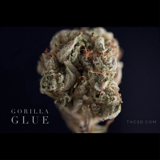 SanDiegoTHC's tweet photo. My Favorite! Well for today anyway! Get yours Just Call: 858-324-2420 #thcsd #sandiegothc #marijuana #dispensary # https://t.co/3p482bc9FC