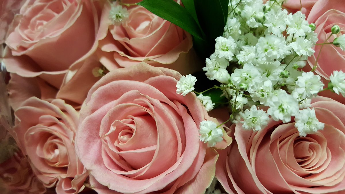 MMediaLabel's tweet photo. Will be passing out 72 roses to 72 random people tomorrow! #simpleactsofkindness. Spread the love! https://t.co/8wQSCexDzZ