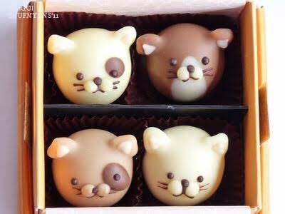 inoo__nyan's tweet photo. @FFFFINHFT 
ふぁい。つーれーてーえってー♪ https://t.co/PMCFRImJKS