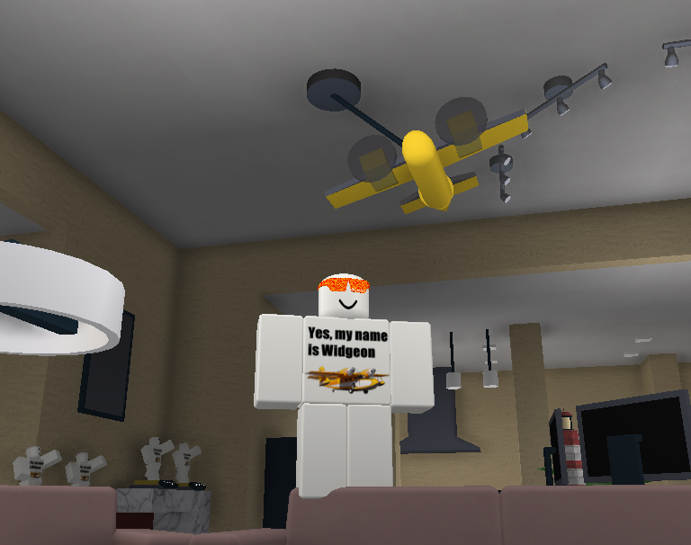 Connor Grafius On Twitter Enter Twitter Code Widgeon For A Flying Grumman Widgeon Item In The Plaza Https T Co X4k7og01iw - roblox image ids the plaza
