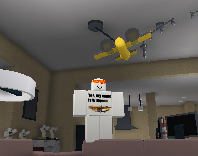 Widgeon On Twitter Enter Twitter Code Widgeon For A Flying Grumman Widgeon Item In The Plaza Https T Co X4k7og01iw - abdulla roblox codes