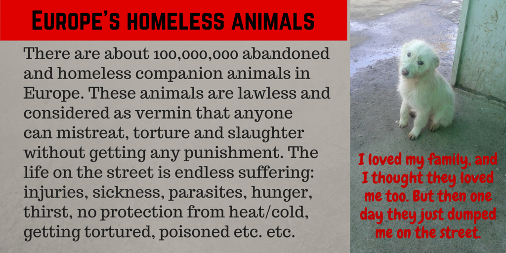 .<a href="/KadriSimson/">Kadri Simson</a> The skyrocketing number of stray pets and hunting dogs is unacceptable in a civilised society #DiaDelGalgo #Galgos #Podencos