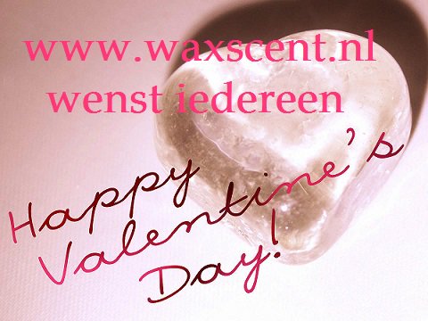 Voordelig shoppen? Vandaag 25% korting op elke bestelling, gebruik kortingscode: Valentijn waxscent.nl