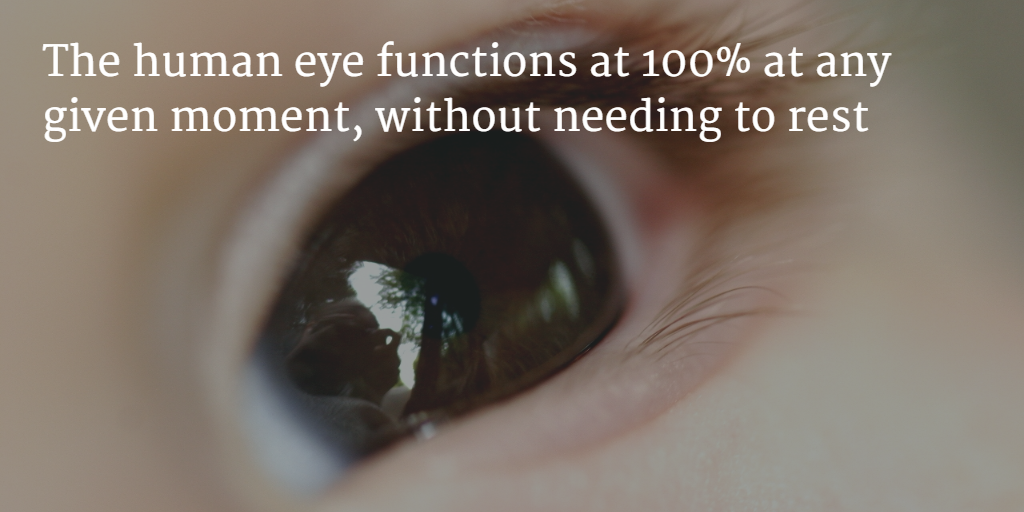 MarioMYoko's tweet image. RT  ReTweet #EyeFacts #Optometry #OptometryCE