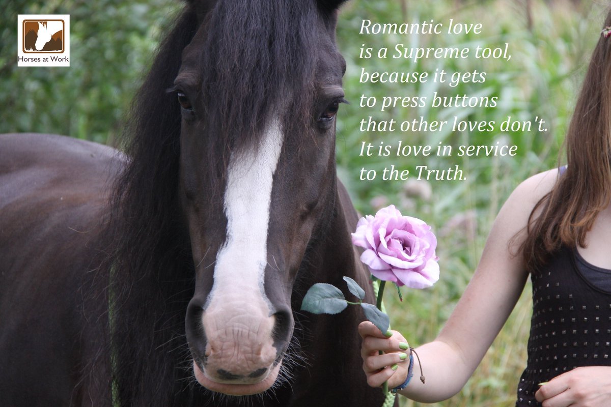 DannyNehm's tweet image. Spreading Romantic Love. Win een gratis relatie coaching sessie. Kijk op facebook.com/Horsesatwork/