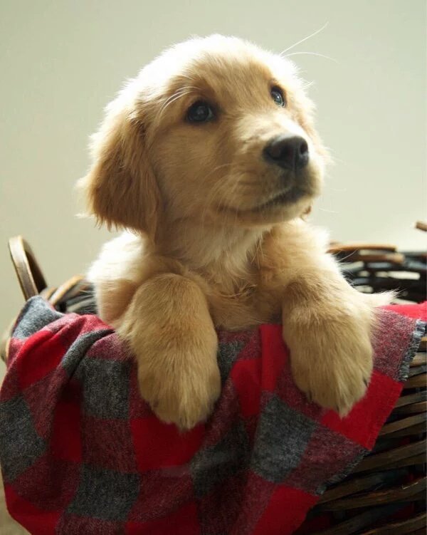 Happy valentines day my princess! I love you so much. 💖😍 and I have this for you, say hi to our new baby. <a href="/Subliaam/">.</a>