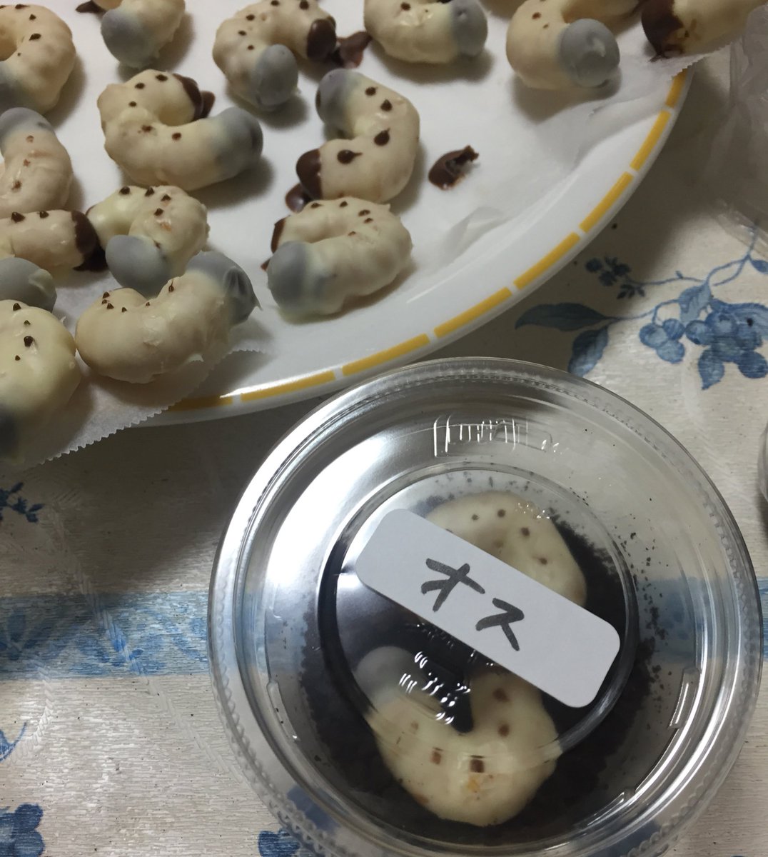 本物 バレンタインにカブトムシの幼虫チョコを作った 再現度高すぎて貰い辛い Togetter