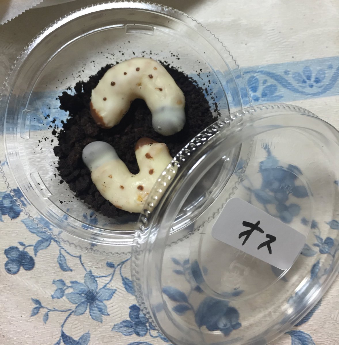 本物 バレンタインにカブトムシの幼虫チョコを作った 再現度高すぎて貰い辛い Togetter