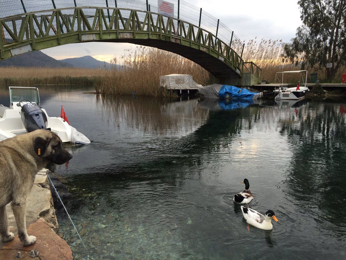 Muğla/14 Şubat 2016/ GÜNAYDIN SEVGİLİ TÜRKİYEM