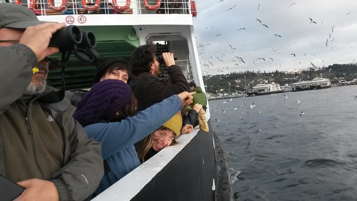Gözleme feribotta başladık. Küçük gümüş martılar, akdeniz martısı, karabaş martılar ve gümüş martılar günaydın diyor