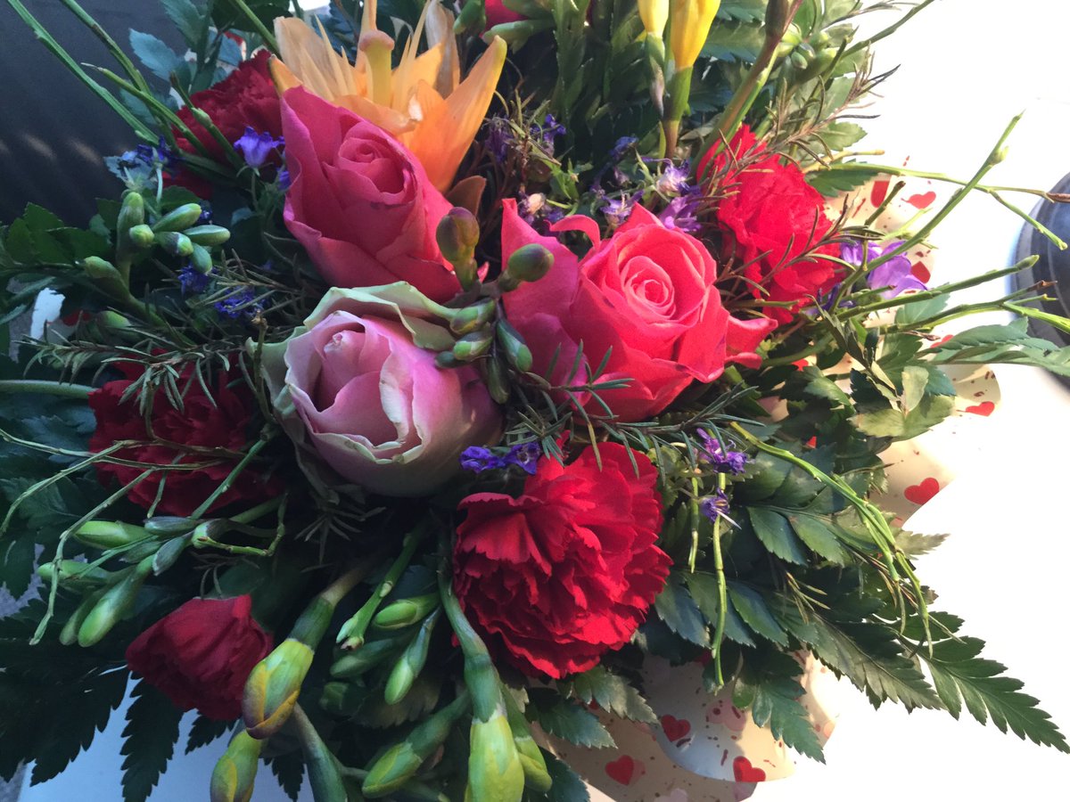 AulisPitkala's tweet photo. Hyvää ystävänpäivää! https://t.co/0TUUBNJ2Yr