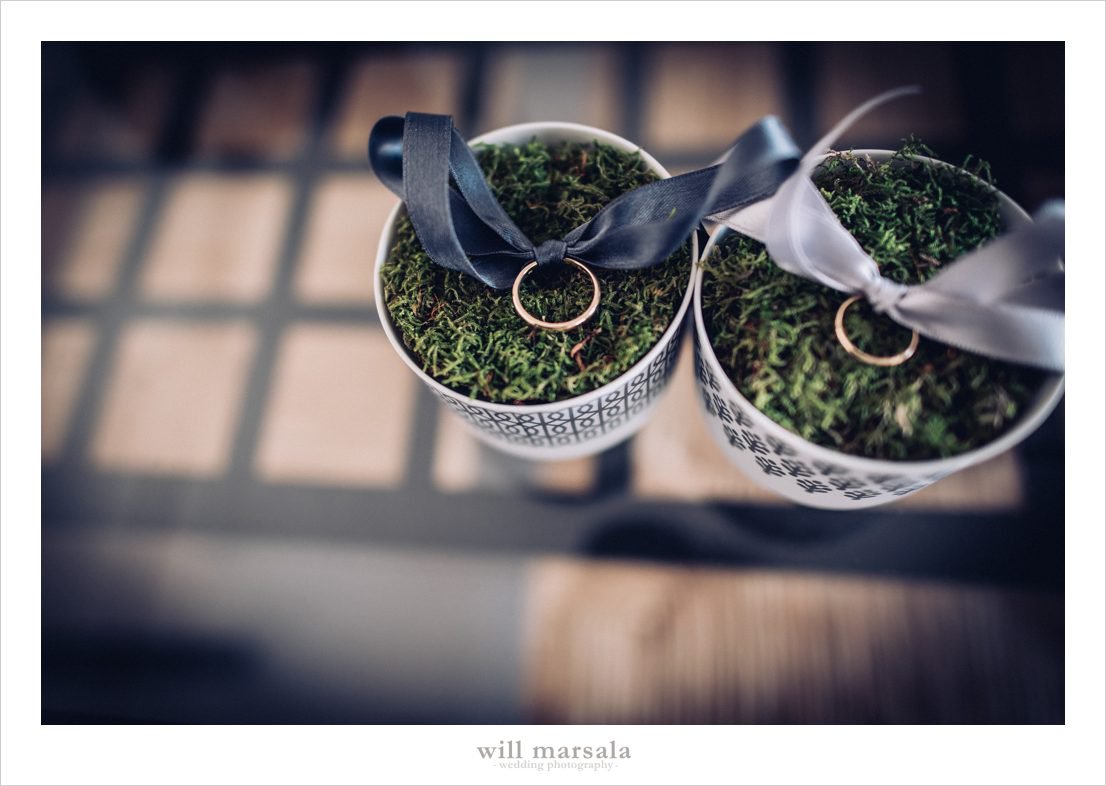 Will Marsala tweet media