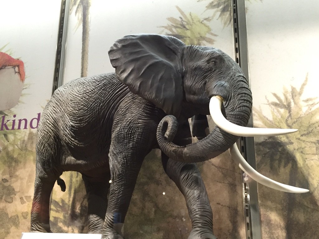 合体にあぶれた[4]と[5]も.. このアフリカゾウはメガソフビアドバンス