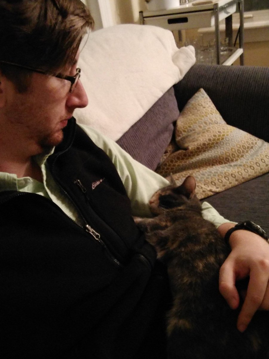 JesseHimes's tweet photo. She fell asleep in my arms. I need to pee but am too scared to wake this cat. They're vengeful. https://t.co/hrmcWfE5sE