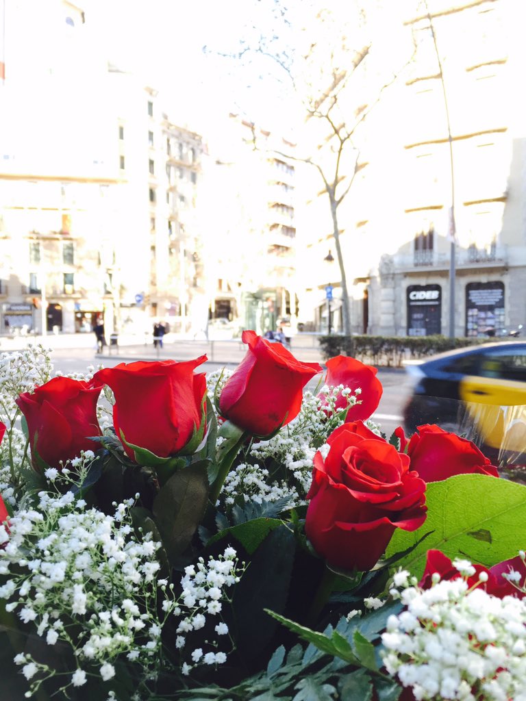 unplis_app's tweet photo. Este #SanValentin olvidate de ir a comprar flores, tu #pliser te las trae https://t.co/48ZCAzO6pD https://t.co/xa43P6I1zQ