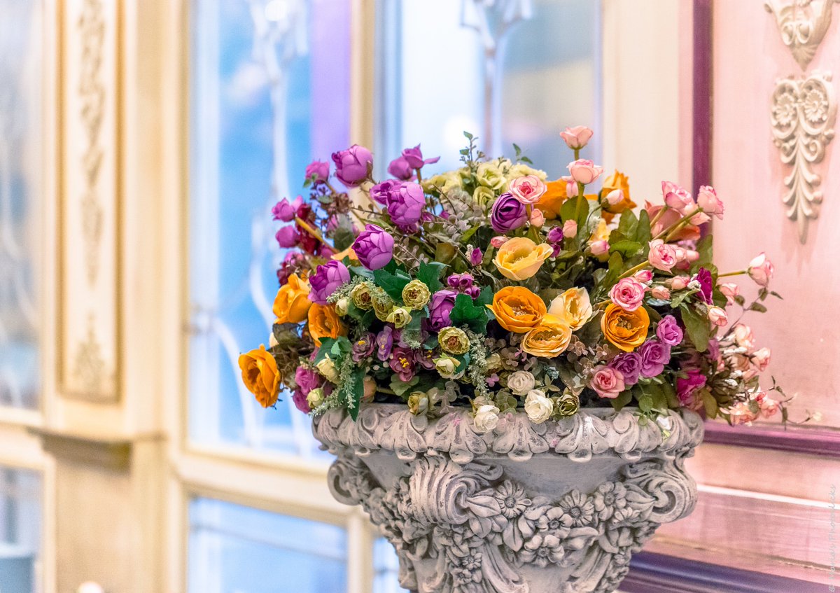 TheGuideQatar's tweet photo. @Shakespearedoha: Join us this evening with your beloved one, &amp; get a chance to have our Valentine’s special treat. https://t.co/Qze0yqkjOh