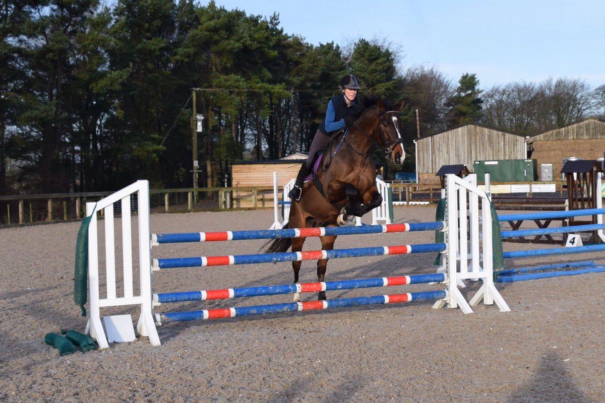 Charlottejeffes's tweet photo. Productive morning session @RectoryFmArena @PayrollsUKltd #showjumpingPractice 2 jumped and a very early start. https://t.co/X9IqlP1qht
