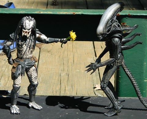 eddy richard tweet media