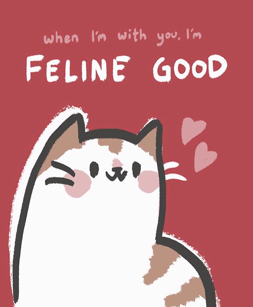Happy Valentine's from all our cats who are looking for love ❤️