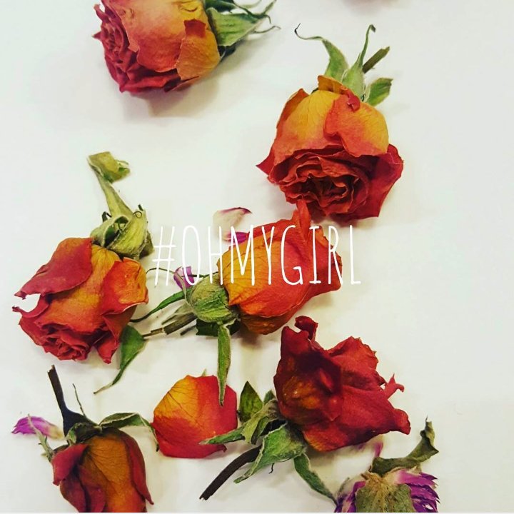 Bling_OMG's tweet photo. (#오마이걸 인스타그램) 오마이걸 공식 인스타그램 Something special on Valentine's day 🎁사진
업데이트....https://t.co/30lRllBYWk #OHMYGIRL https://t.co/Fp1YKxdahs