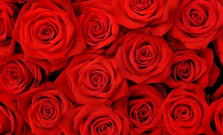 #Valentijnsdag! Vandaag vaart de LOVEBOAT in De Beemd. Nieuwsgierig? Kom jij je geliefde ook verrassen? #Lochem
