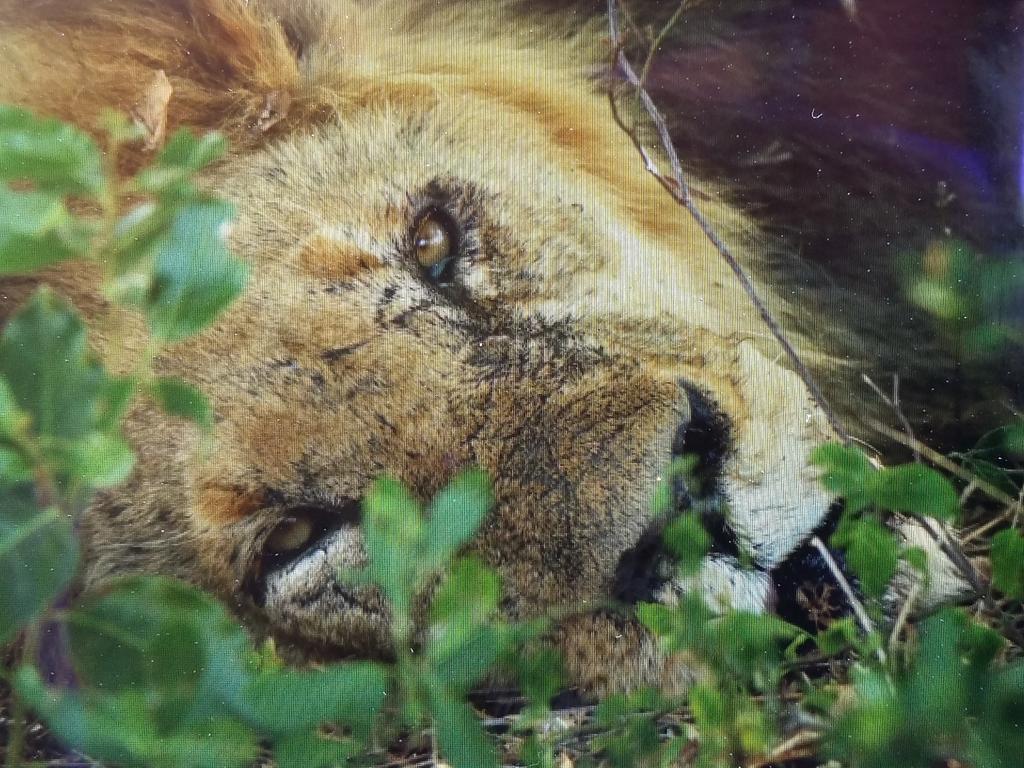 This face has a few stories to tell.