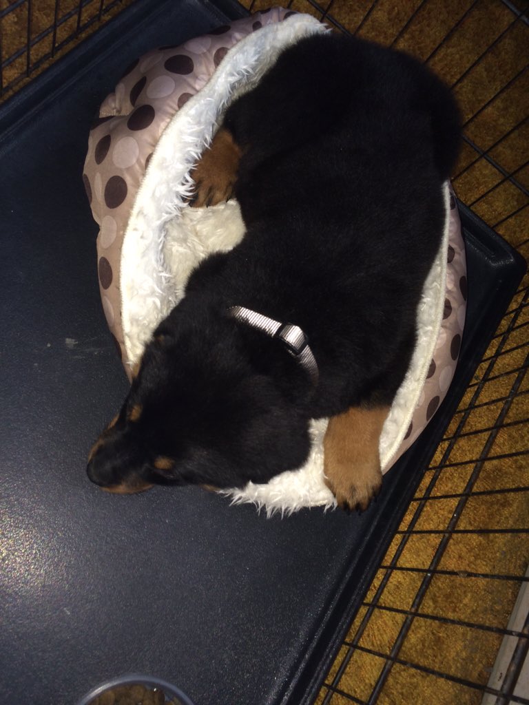 Zoeymadison808's tweet photo. 1 year today I got my bestfriend💕 #iactuallyhatehim https://t.co/IXKhJvJfZt