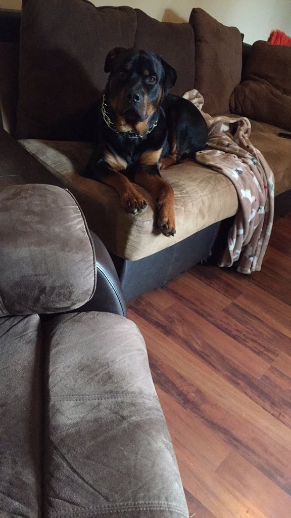Zoeymadison808's tweet photo. 1 year today I got my bestfriend💕 #iactuallyhatehim https://t.co/IXKhJvJfZt