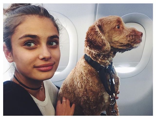 modeIesques's tweet photo. Taylor Marie Hill https://t.co/C6Lss1YGK1