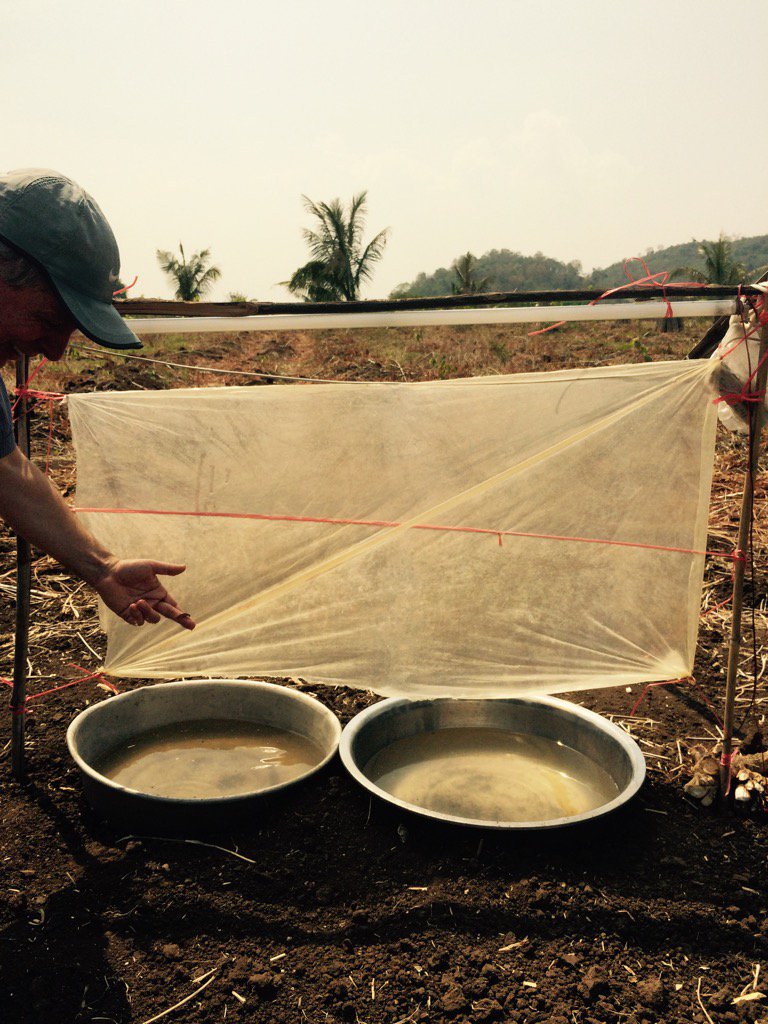 jerry_d_glover's tweet photo. Low tech cricket trap near Battambang, Cambodia--food security! https://t.co/3WSOvssdJ1