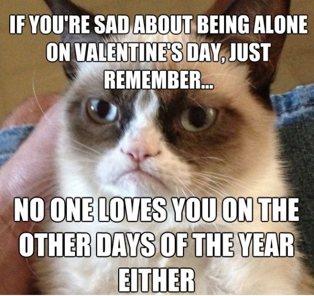 These are the funniest tweets and memes about being single on Valentine's  Day | The Sun