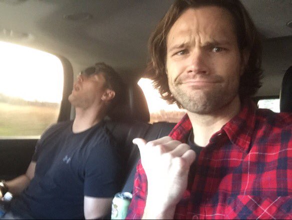 pxnkpilots's tweet photo. FRICKIN DORKS https://t.co/qlycla34zb