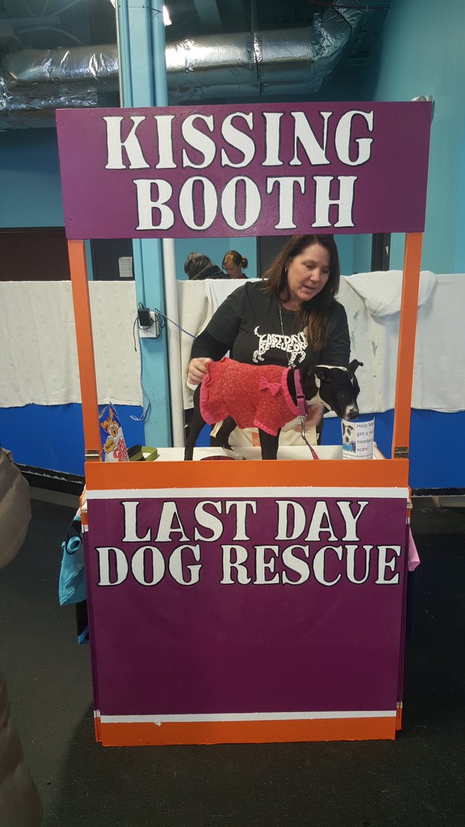 LastDayDogs's tweet photo. How we celebrated #Valentines day!
Love those fur friends today.
#dogsoftwitter #DogsInspired https://t.co/ILVKi80pT5