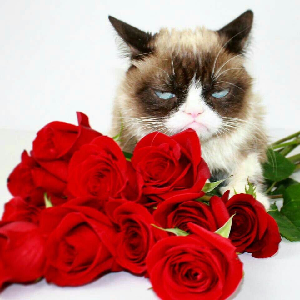 Cjrive's tweet photo. Feliz dia de san valentin bros @come_teste  @Famocito12  @David_Tec_  @_Felo_Rivera_   @MikaesEl1 @Mandy_20 https://t.co/3KecAiawf3