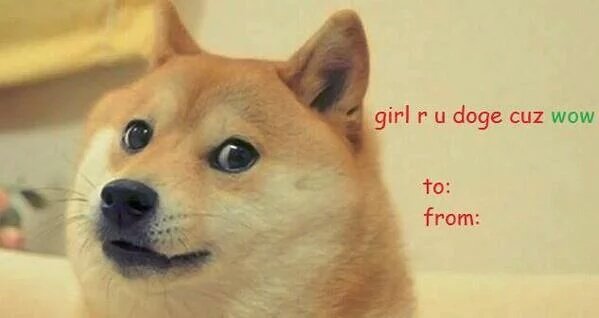 DogeTheDog's tweet photo. Wow
           Such card
     Very valentine
        So love https://t.co/c4DkkDlXAI