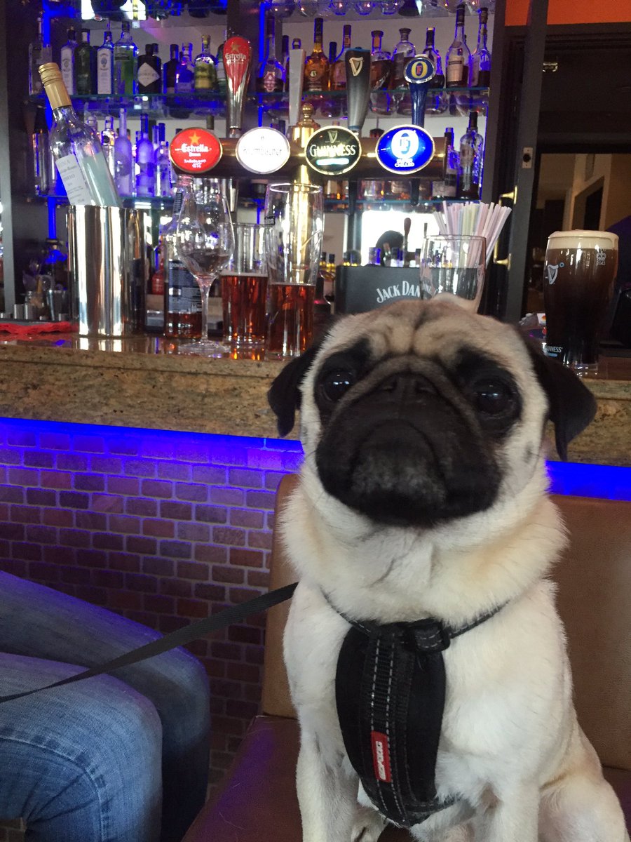 Pub rugby &amp; #England win again :) Time for another beer!