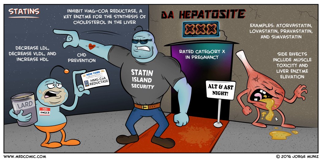 MedComic's tweet photo. Statins https://t.co/uoiP3hjBg0
#MedEd #FOAMed https://t.co/imrqk4CiZ8