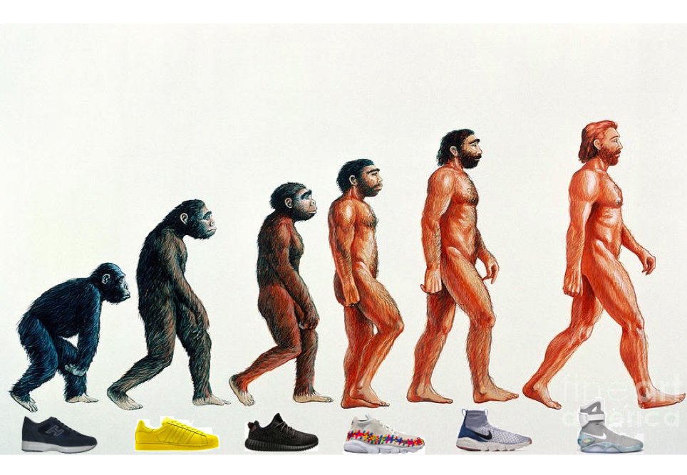 Недостающее звено в эволюции человека. Хомо сапиенс обезьяна. Эволюция обезьяны в человека. Эволюция человека. Эволюция человека юмор картинки.