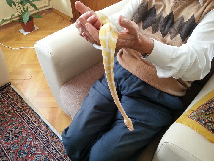 ulastirma's tweet photo. Bunlar da hayvan https://t.co/Hk0CDnM5Ny