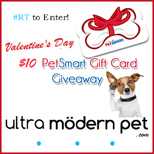ultramodernpet's tweet photo. https://t.co/yhXSJ59Tp8 's #Valentine's Day giveaway. Winner announced Sunday night. ReTweet to Enter! https://t.co/xNzDJruj0z