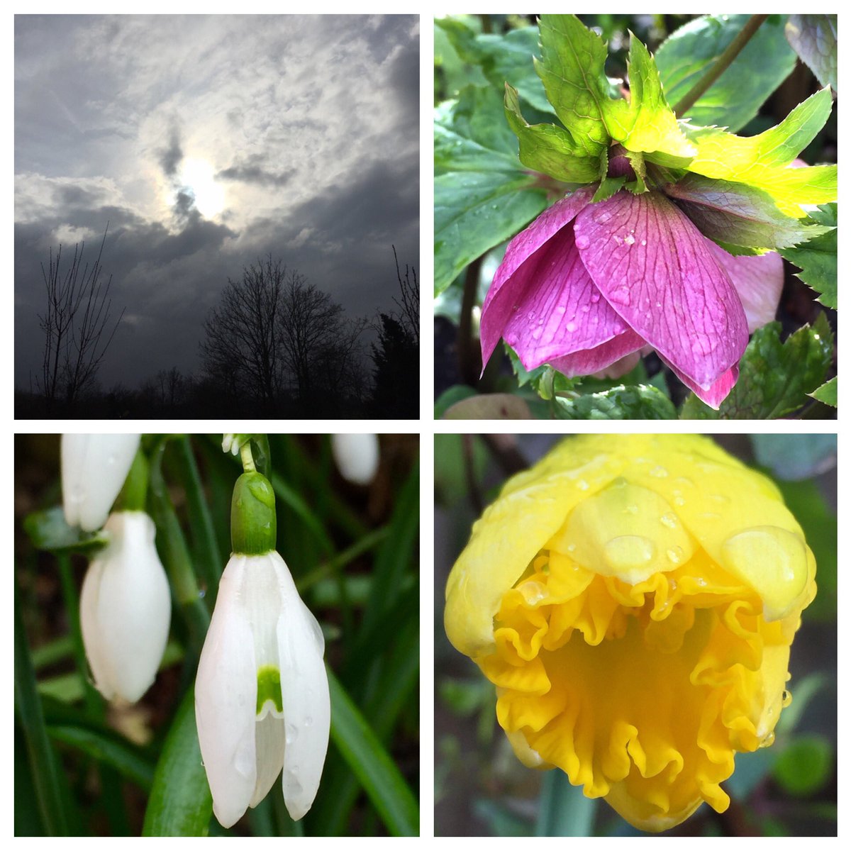 itsmelaniehere's tweet photo. Well that did the trick, the sun has come out! #springsundays https://t.co/evnCWxs5gh