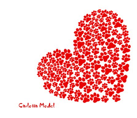 OneDogLove's tweet photo. Happy ❤️🐾 #Valentines #SanValentino #dogs #beagles https://t.co/G4cMEHKcY2
