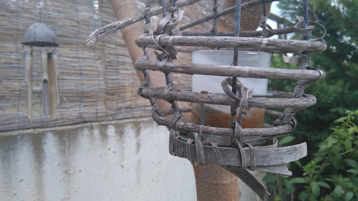 bronzedzn's tweet image. Took some 4k pictures on my garden