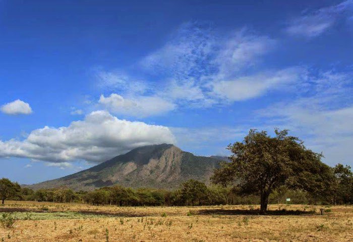 cnpcorp's tweet photo. Padang Rumput Savana Ala Ala Afrika https://t.co/zqHrnMIA9L https://t.co/MImOWqWR1H
